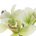 Floristik21 Künstliche Orchideen Kunstblumen in Vase Weiß/Grün 28cm