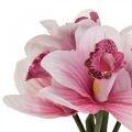 Floristik21 Künstliche Orchideen Kunstblumen in Vase Weiß/Rosa 28cm