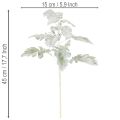 Künstlicher Senecio Zweig Silberblatt Greiskraut 45cm 3er-Set | Floristik21.de
