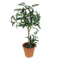 Künstlicher Olivenbaum im Topf Kunstpflanze Olive H63,5cm
