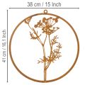 Metallring Edelrost Dekoring Wanddeko Dillzweig Ø38cm | Floristik21.de