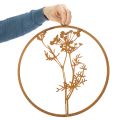 Metallring Edelrost Dekoring Wanddeko Dillzweig Ø38cm | Floristik21.de