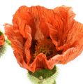 Floristik21 Mohnblume Orange 67cm 2St