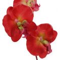 Floristik21 Deko Orchidee Rot 68cm