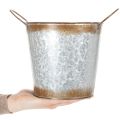 Pflanzgefäß aus Metall, Blumenschale, Pflanztopf mit Henkeln Silbern, Edelrost Ø18cm H20cm | Floristik21.de