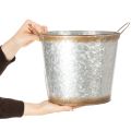 Pflanztopf mit Griffen, Deko-Schale Rostdeko, Metallgefäß Silbern Ø26cm H25,5cm | Floristik21.de