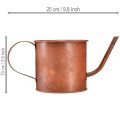 Rost Deko Gießkanne Mini Pflanztopf Metall Ø10cm H9cm Vintage-Charme | Floristik21.de