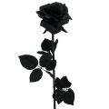 Floristik21 Rose Seidenblume Schwarz 63cm