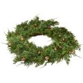 Tannenkranz Thuja mit Knospen Basis Rebenkranz Ø50cm ideal für festliche Dekoration | Floristik21.de