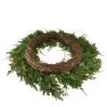 Tannenkranz Thuja mit Knospen Basis Rebenkranz Ø50cm ideal für festliche Dekoration | Floristik21.de